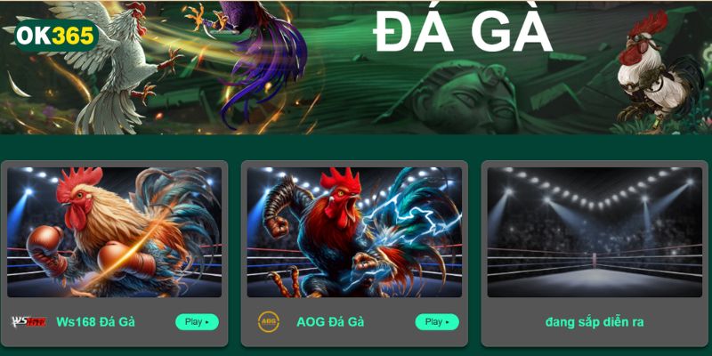 Đá gà đòn đa dạng với nhiều loại hình độc đáo