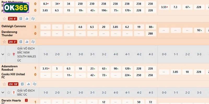 Lựa chọn trận đấu phù hợp và hiểu rõ về đội bóng